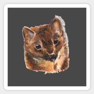 European Pine marten Magnet